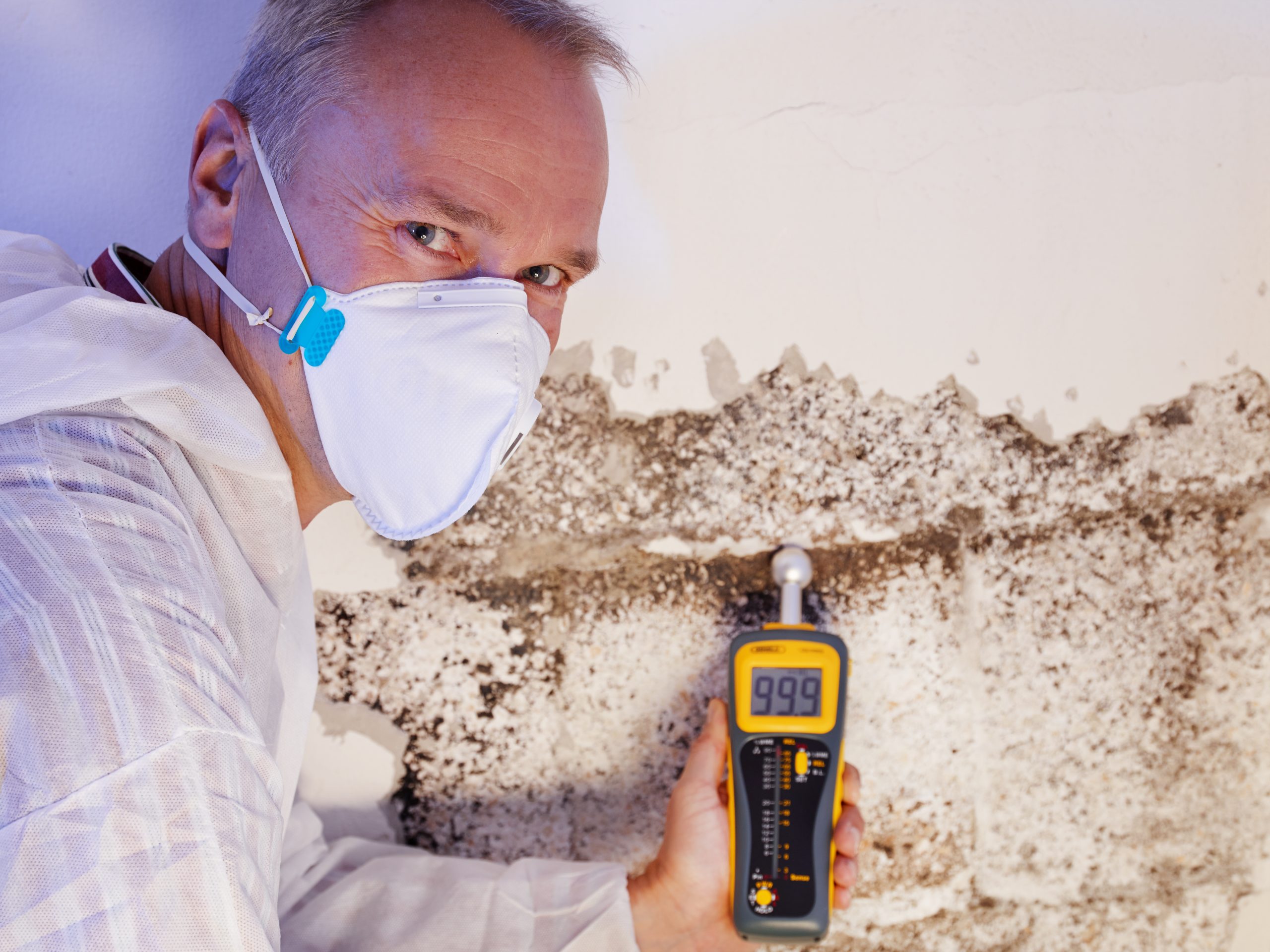 Mold-Inspection